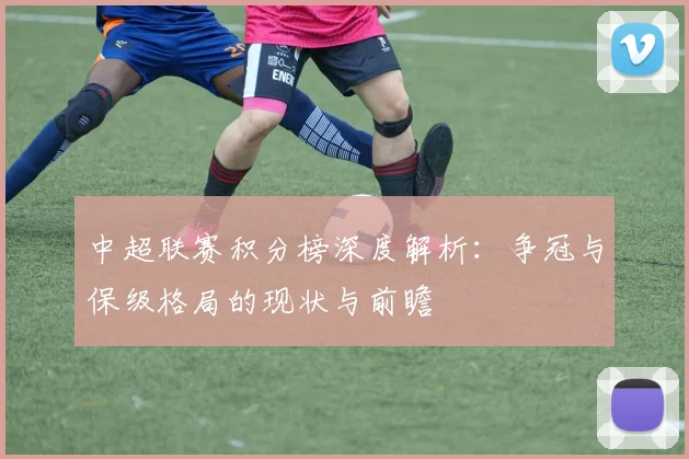 中超联赛积分榜深度解析:争冠与保级格局的现状与前瞻