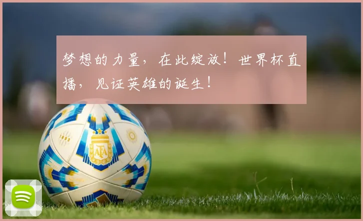 梦想的力量，在此绽放！世界杯直播，见证英雄的诞生！